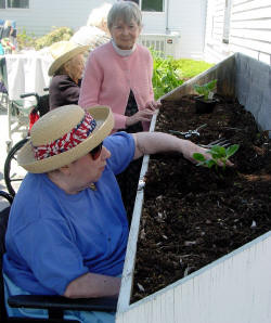 raised outdoor planter